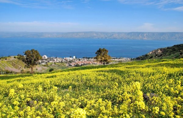 مذبحة ناصر الدين